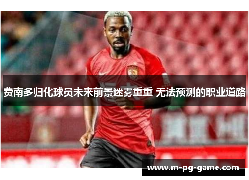 费南多归化球员未来前景迷雾重重 无法预测的职业道路